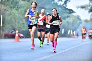 BIB: 25431, 20271
                            <button type="button" onclick="openModal(10127753)" class="btn btn-primary btn-sm float-right btn-popup" data-toggle="modal" data-target=".modal-high-quality">
                        <i class="fas fa-shopping-cart"></i> Add to Cart
                    </button>
                                            <button type="button" onclick="isThisMe(10127753, true)" class="btn btn-success btn-sm float-right btn-popup btn-isme hidden" data-toggle="tooltip" data-placement="bottom" title="นี่คือรูปของคุณใช่ไหม คลิกที่นี่เพื่อเอาเข้าอัลบั้ม">
                        <i class="fas fa-plus"></i> Add to album
                    </button>
                    <button type="button" onclick="isThisMe(10127753, false)" class="btn btn-warning btn-sm float-right btn-popup btn-isnotme hidden">
                        <i class="fas fa-ban"></i> Remove from album
                    </button>